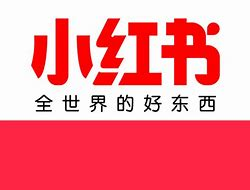 Everything you want to know about RedNote